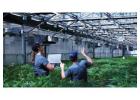 Find Best Nursery Business Software & Greenhouse ERP Here