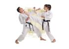 Taekwondo Riverwood – Professional Martial Arts Training