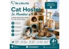 Cat Hostel