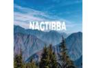 Book Nag Tibba Trek