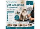 Cat Grooming