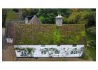 Roof Cleaning & Moss Removal in Finchley