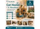 Cat Hostel