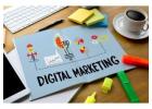 SEO Service Provider Jaipur