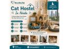 Cat Hostel