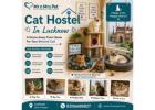 Cat Hostel