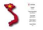 Explore Vietnam Import Trade Trends with Import Globals