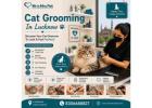 Cat Grooming