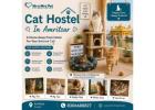 Cat Hostel