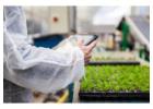 SBI Software: Find Best Nursery Business Software & Greenhouse ERP Here