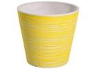 Online Range of Plastic Pots That Complement Any Plant or Interior