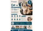 Cat Grooming