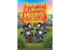 How Lakeland Mysteries Design Combines Mystery, Nature, and Creativity ?