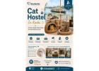 Cat Hostel