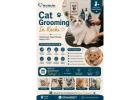 Cat Grooming