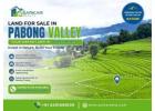 Land for Sale in Pabong Valley – North Bengal Investment Opportunity