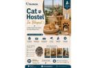 Cat Hostel
