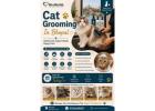 Cat Grooming