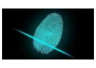 Livescan Fingerprinting Cost