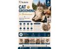 Cat Grooming