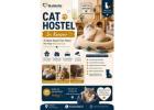 Cat Hostel