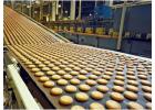 Automatic High Speed Horizontal Flow Wrapping Machine