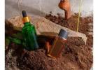 Candle Fragrance Exporter for Global Scent Supply Needs