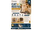 Cat Hostel