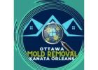Trusted Mold Inspection & Mold Removal in Ottawa