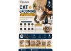 Cat Grooming