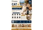 Cat Grooming