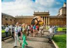 Find your custom trip with skip-the-line passes with the Vatican City Tour