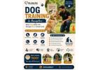Dog Training Service