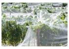 Protect Every Harvest With Reliable Crop Protection Netting