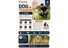Dog Training Service