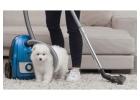 Commercial Carpet Cleaning Allentown – Professional Business Carpet Care