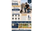 Dog Training Service