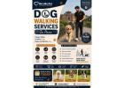 Dog Walking Services