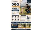 Dog Training Service
