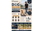 Dog Walking Services