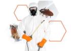 Reliable Industrial Pest Control Service in Jaipur for Business Protection