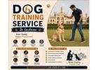 Dog Training Service