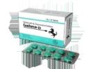Purchase Cenforce D for Erectile Dysfunction Support