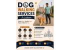 Dog Walking Services