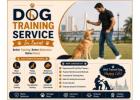 Dog Training Service