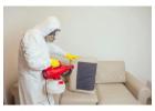Best Pest Control in Jaipur with Safe & Reliable Treatments