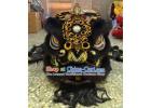 Authentic Chinese Dance, Lion Dance & Cultural Costumes for Schools & Teams | Since 2003