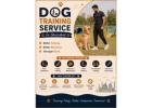 Dog Training Service