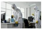 Affordable Bedbugs Control Services in Jaipur with Lasting Results