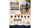 Dog Walking Services